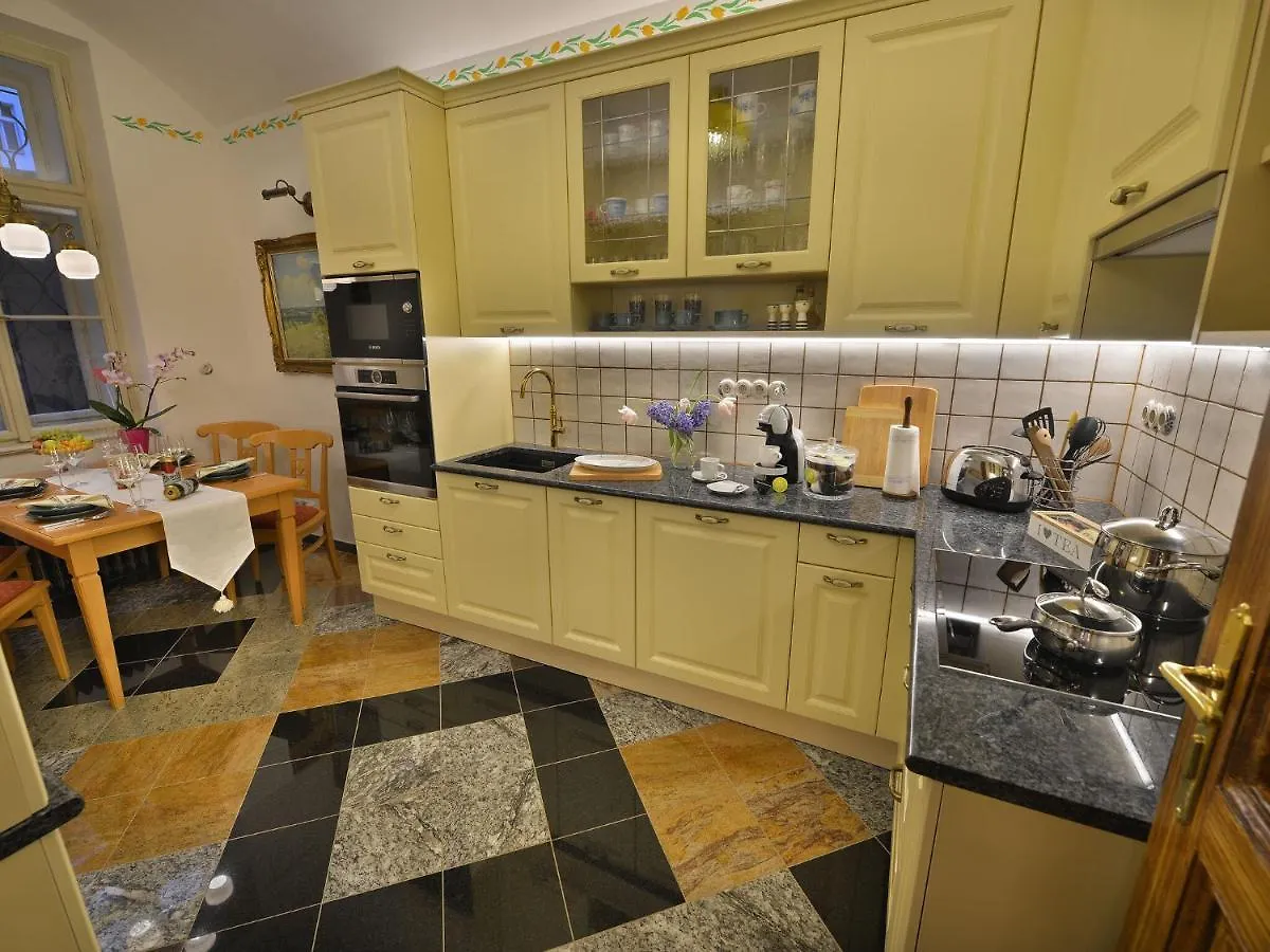 Luxurious Apartment Near River In Cezch Republic Prag